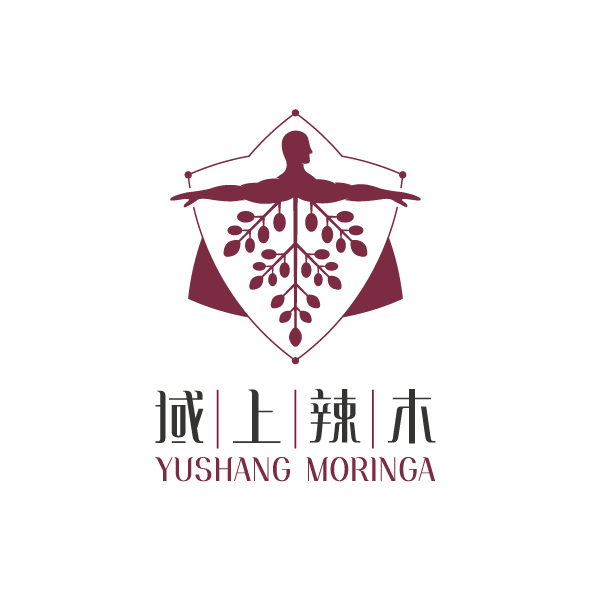 LOGO案例-58（丽江域上辣木包装设计）.png